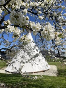 Naš pravi indijanski šotor