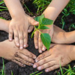 Aktivnosti na babičinem vrtu