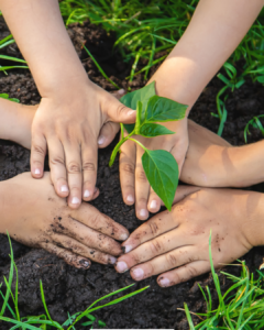 Aktivnosti na babičinem vrtu